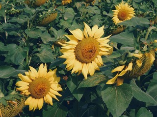 InterPhoto_1573300894040
