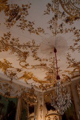 IMG_1794