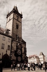 IMG_0717