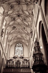 IMG_0648