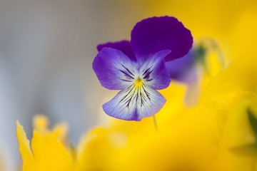 IMG_0121