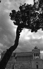IMG_1315-2