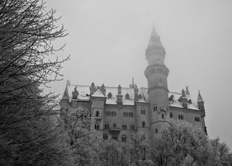 IMG_1639
