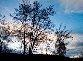 IMG_1022