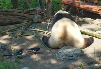 IMG_0661-2