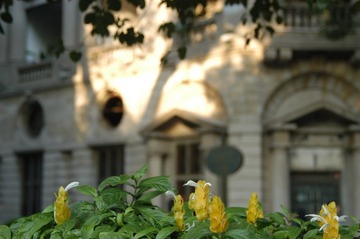 DSC_0035 (2)