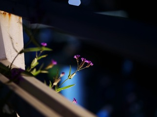 6BA27526-5752-4F40-B5E1-389764533157/L0/001