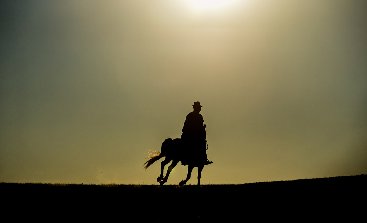 牧马人放牧的蒙古人