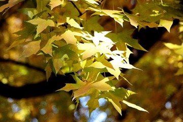 亮点
