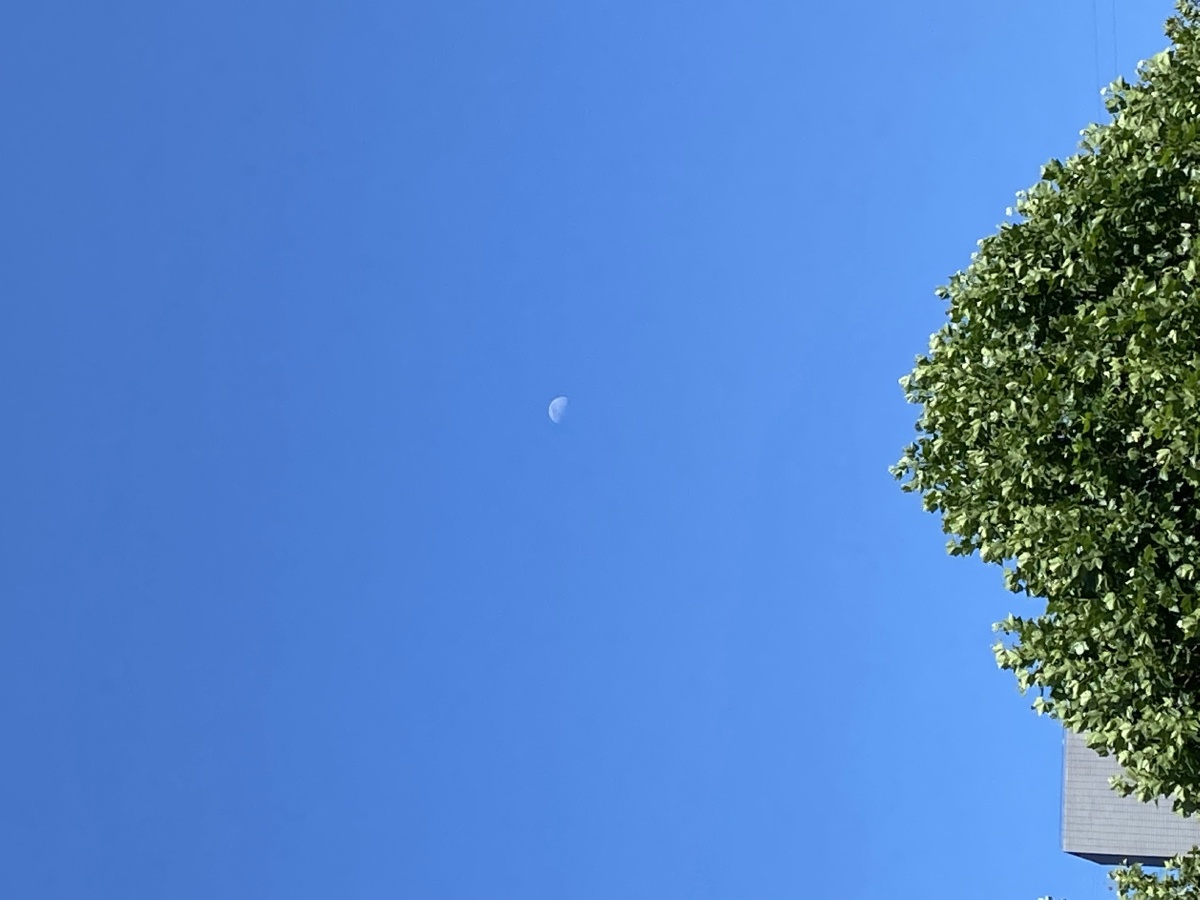 下午三点的天空万里无云唯有一半月悬挂于空