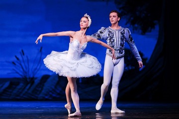 swan1-1.jpg