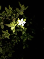 34560A81-2A87-4593-B331-CD7EA3C7E79E/L0/001