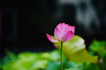 05045D38-F706-4791-932F-37DA05257503/L0/001