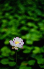 B0DC3710-11C0-45FB-8D03-B147E179E3EC/L0/001