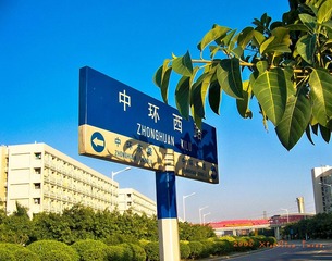夕阳_2009_44.jpg