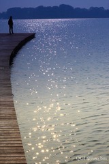 DPP_0520.jpg