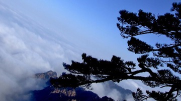 DSCF7631.JPG