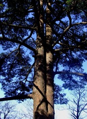 DSCF7637.JPG