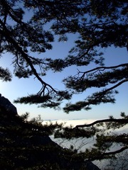 DSCF7859.JPG