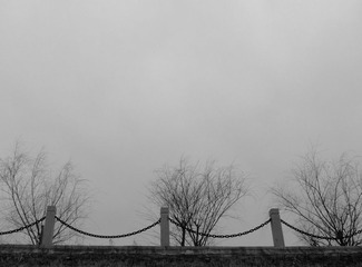DSCF7950.JPG