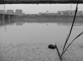 DSCF7959.JPG
