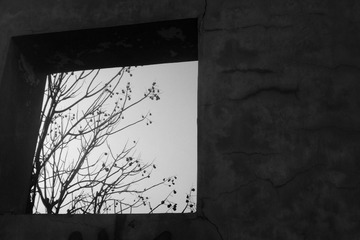 DSCF8023.JPG
