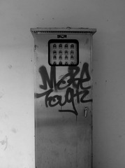 DSCF8028.JPG