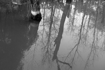 DSCF8128.JPG