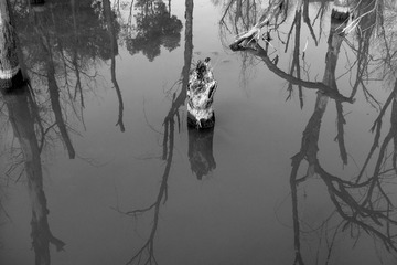 DSCF8135.JPG