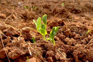 DSCF8160.JPG