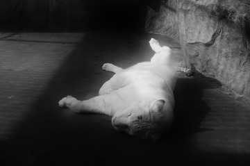 DSCF6948.JPG