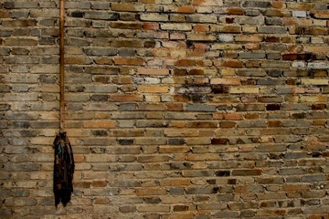 DSCF8395.JPG