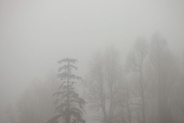 DSCF8709.JPG