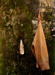 DSCF8905.JPG
