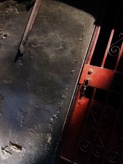 DSCF8915.JPG