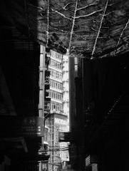 DSCF8880.JPG