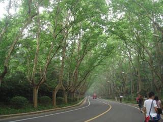 DSC07053.JPG