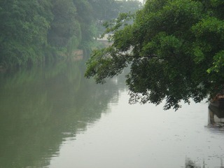 DSC07295.JPG