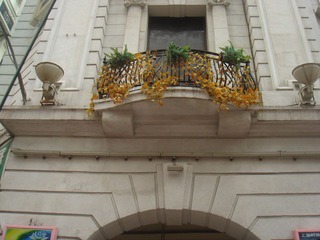 DSC08143.JPG
