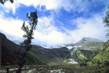 FR106_30