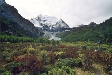 FR109_11