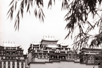 FR111_35