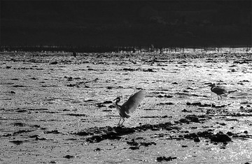 “DSC_0031”为智能对象-1.jpg