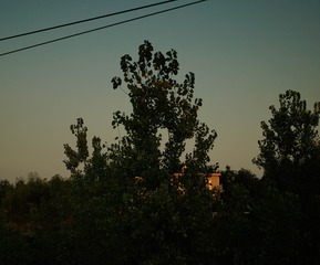 _DSC4587