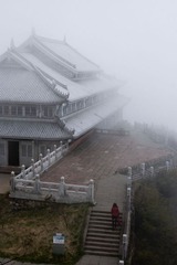 迷雾.jpg