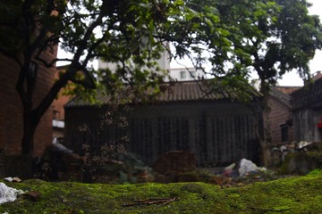 _DSC0056.jpg