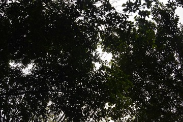 _DSC0117.jpg