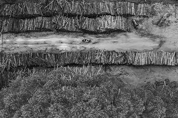 DJI_0095