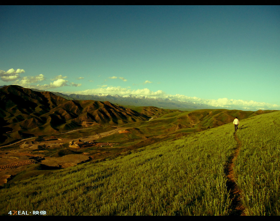 行走天地间<br />
傍晚很多人喜欢到营地附近山上捡蘑菇和野草莓，一天下来再烦躁的事儿，在山边走一圈，都会烟消云散。