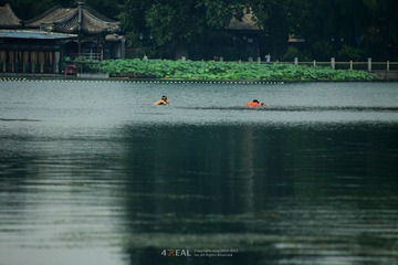 IMG_8789.jpg